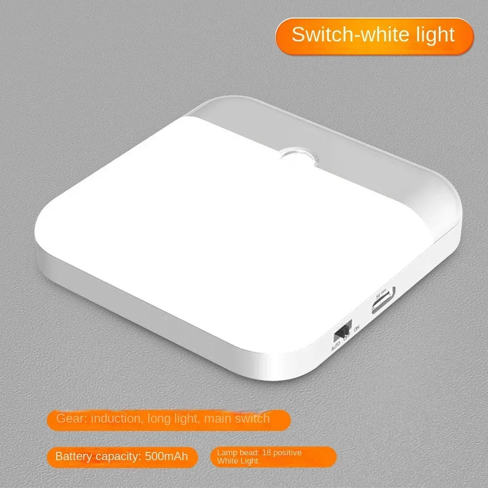 Cool white motion sensor light