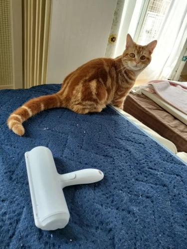 Pet hair remover roller on a bed with a cat